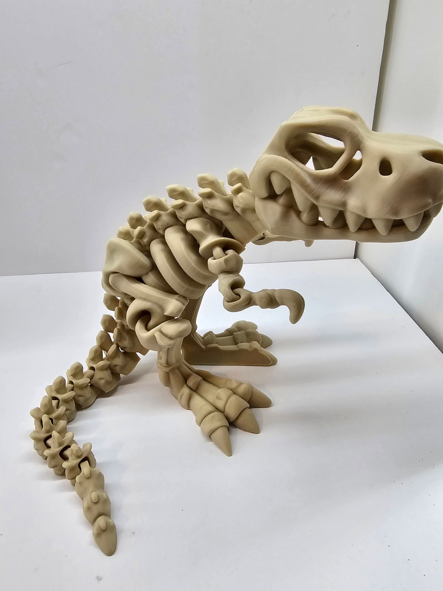 Skeleton / Fossil T-Rex 3DPrinted