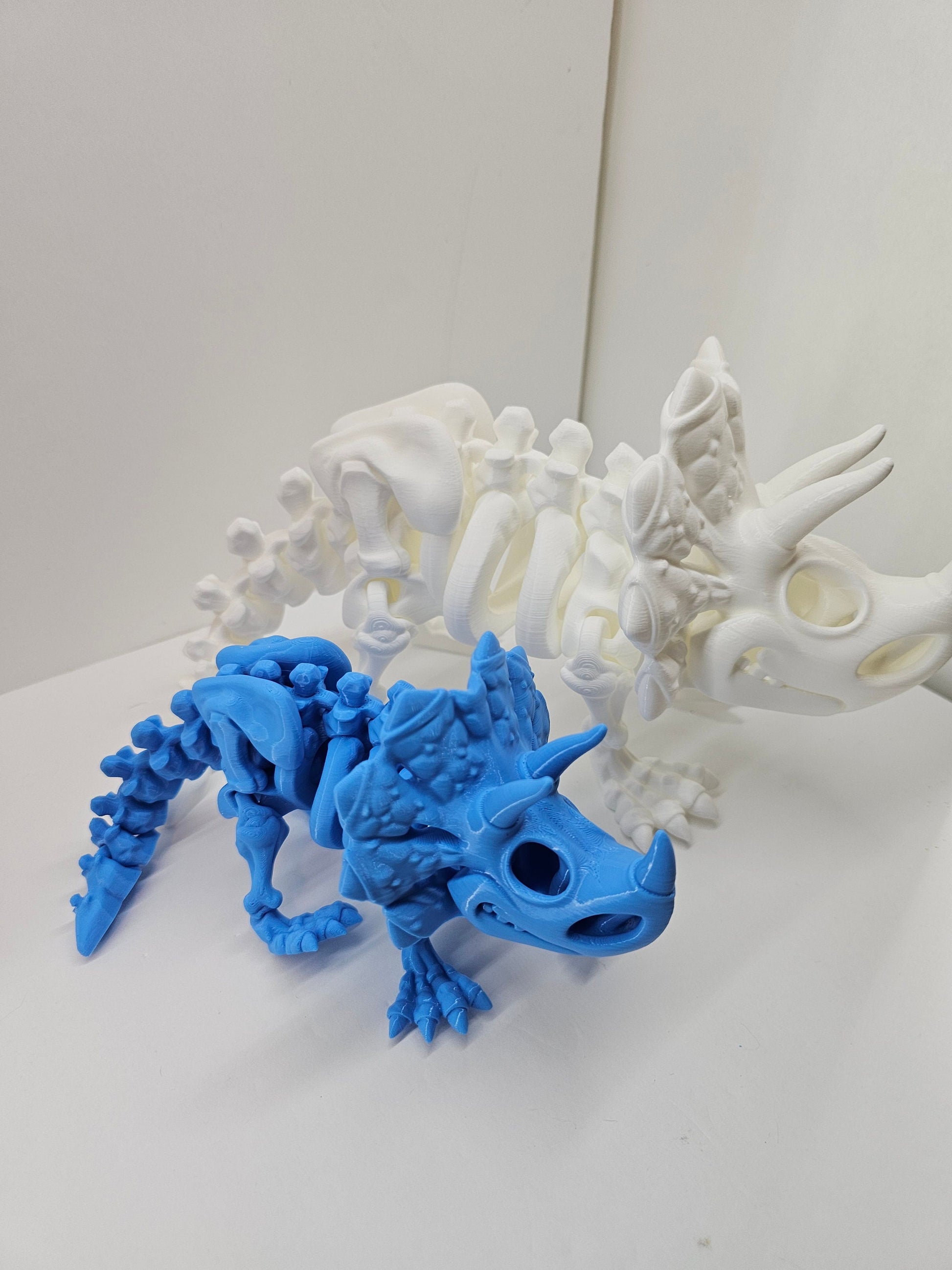 Skeleton / Fossil Triceratops 3DPrinted
