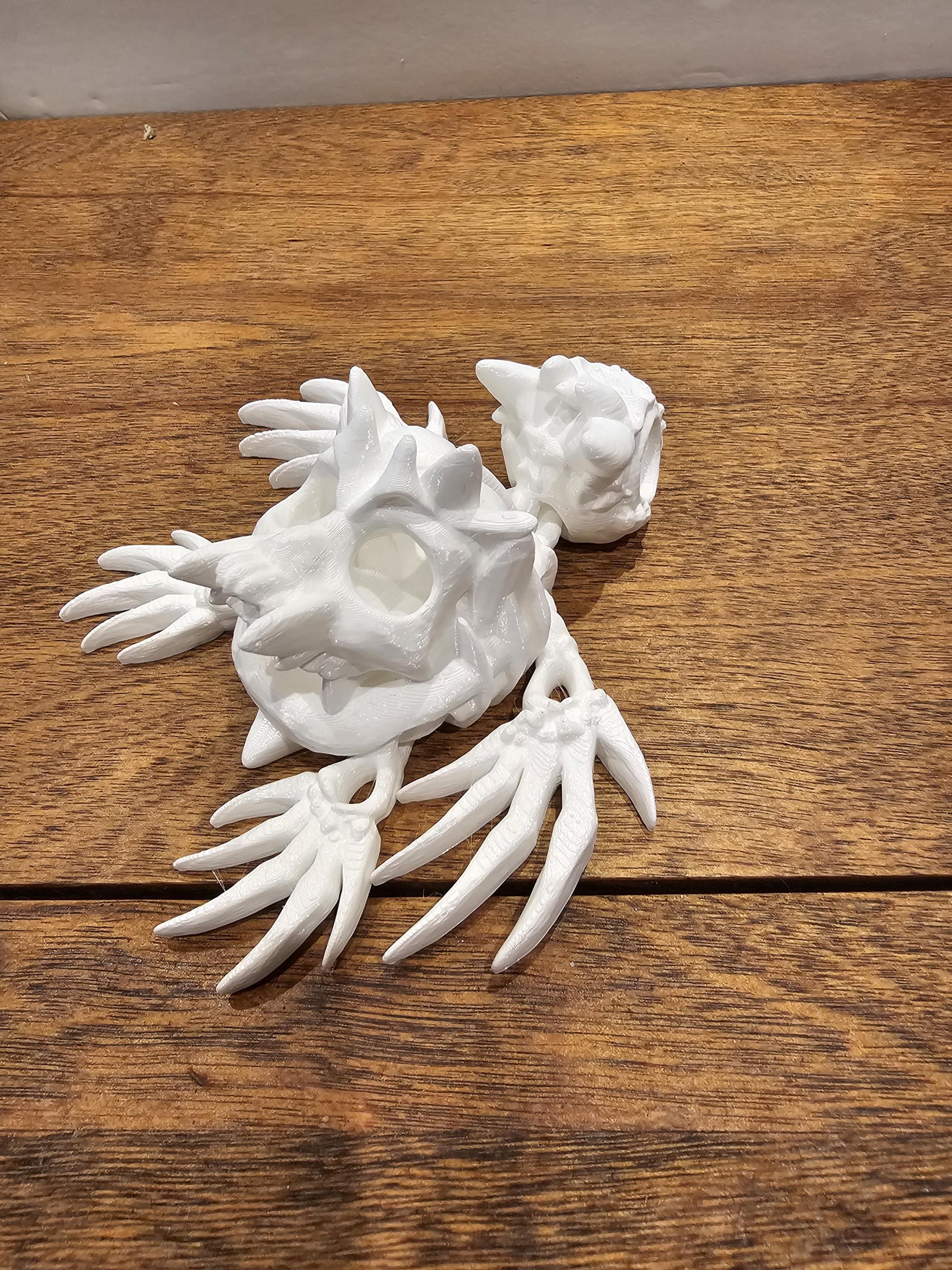 3d Printed Hollow Skull Turtle