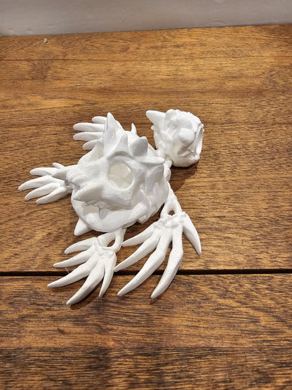 3d Printed Hollow Skull Turtle