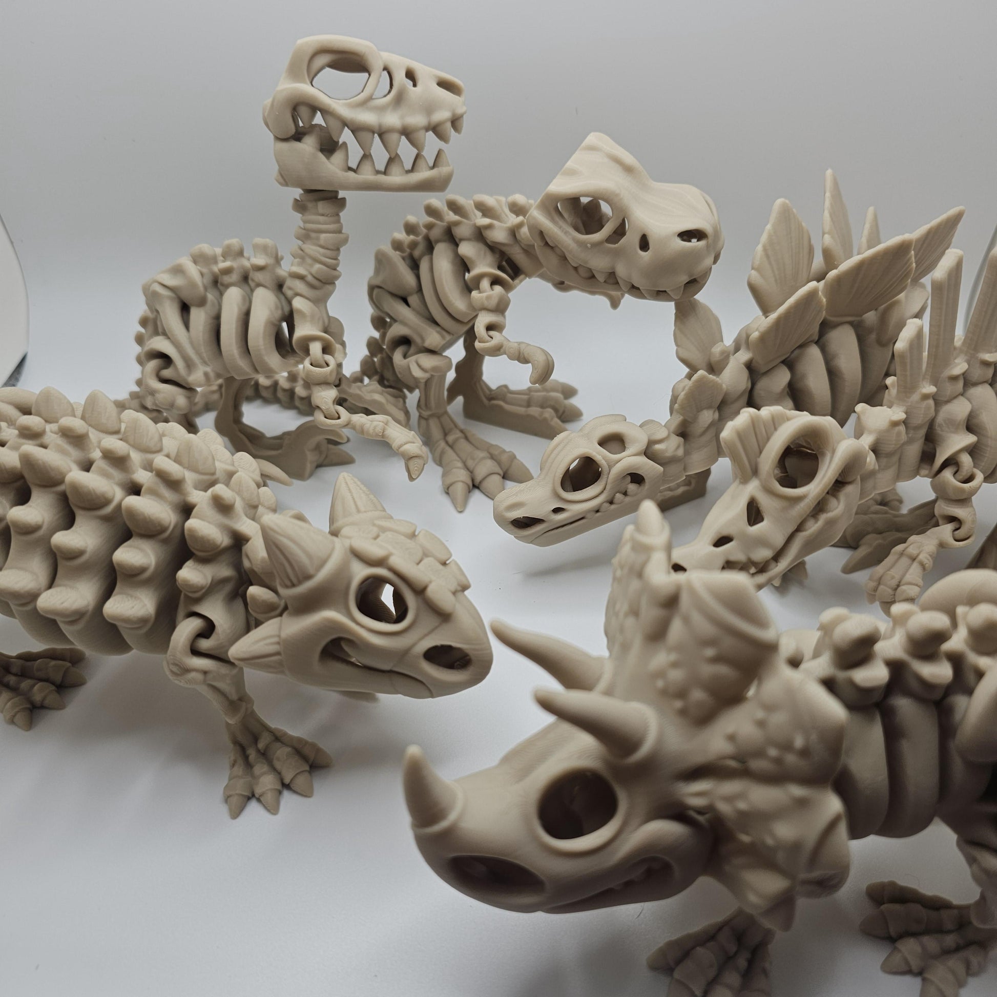 Skeleton Dinosaur, Fossil Dinosaurs 3DPrinted