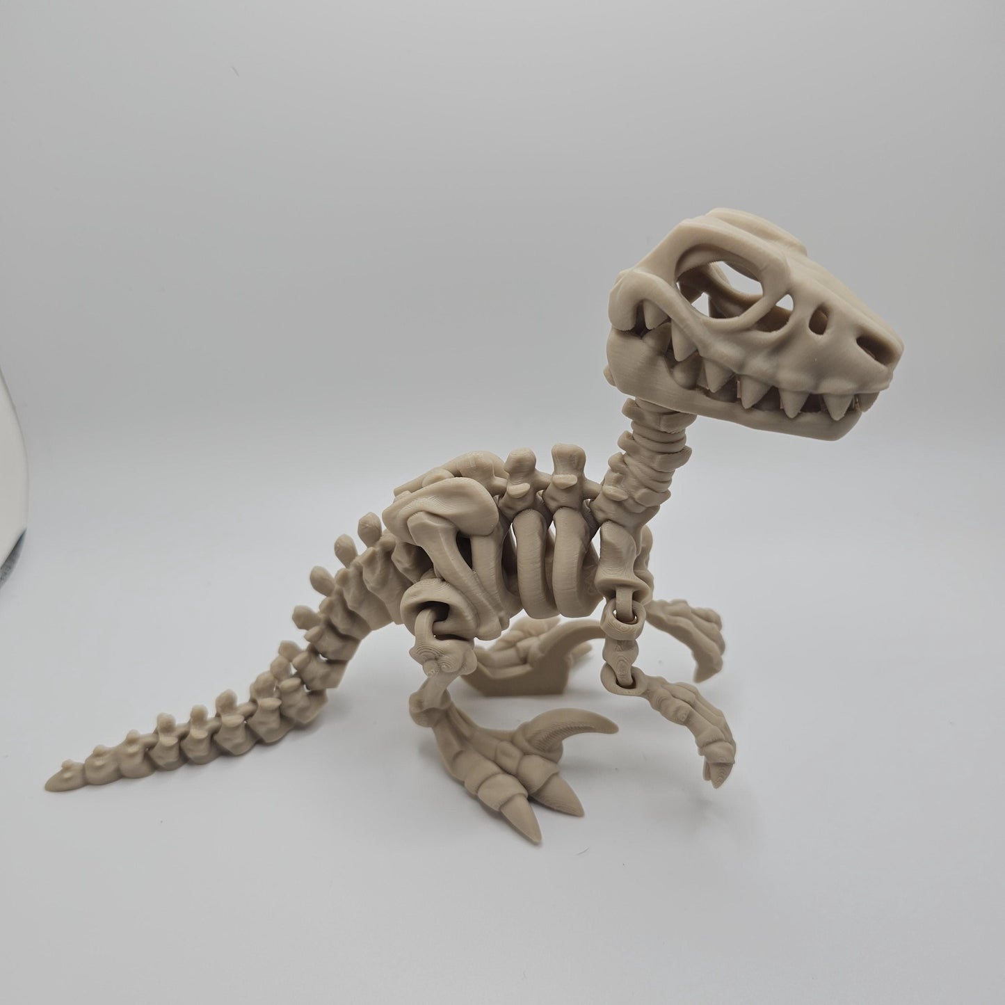 Skeleton Dinosaur, Fossil Dinosaurs 3DPrinted