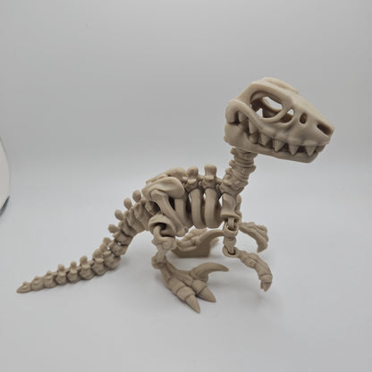 Skeleton Dinosaur, Fossil Dinosaurs 3DPrinted