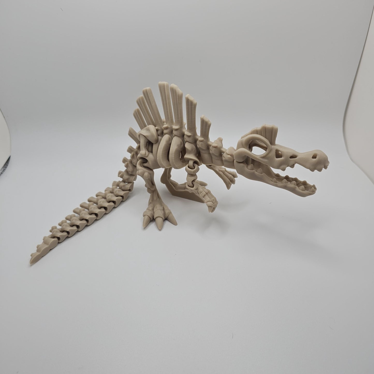 Skeleton Dinosaur, Fossil Dinosaurs 3DPrinted