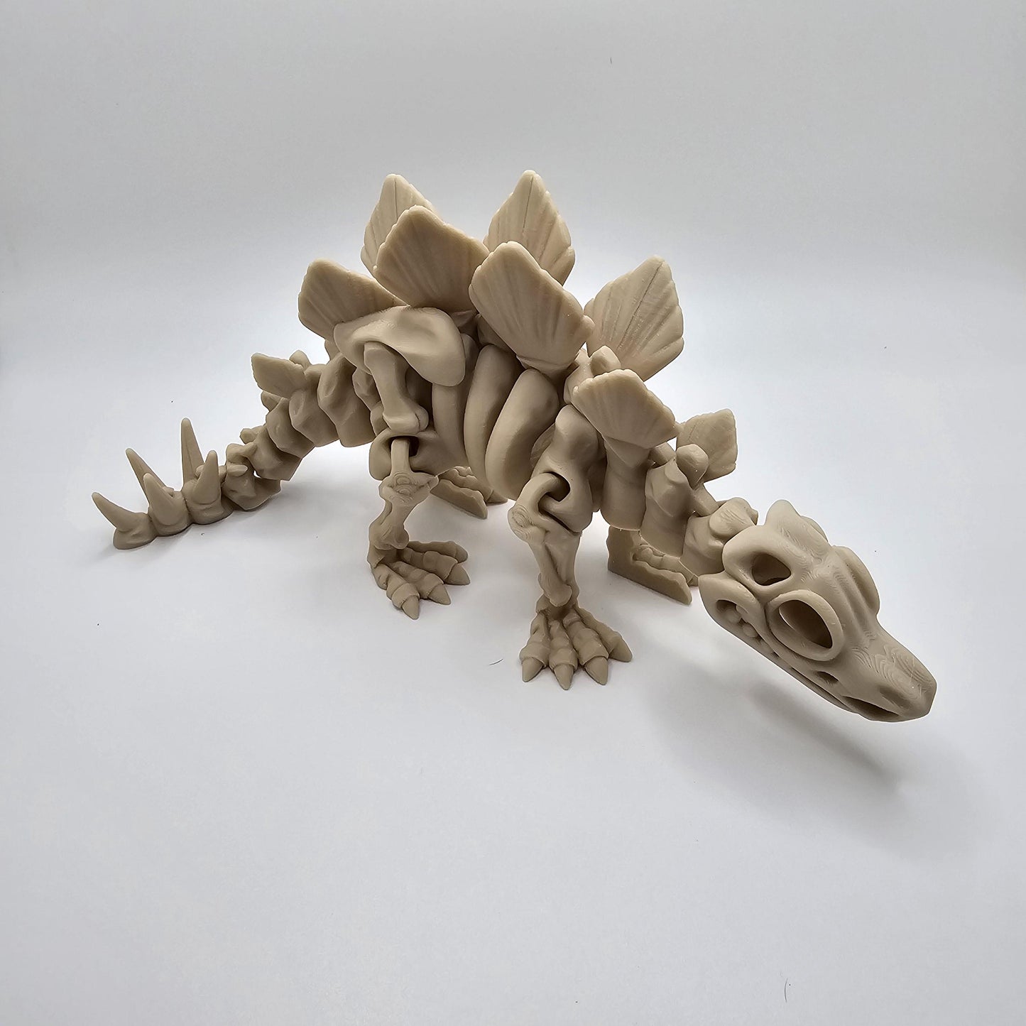 Skeleton Dinosaur, Fossil Dinosaurs 3DPrinted