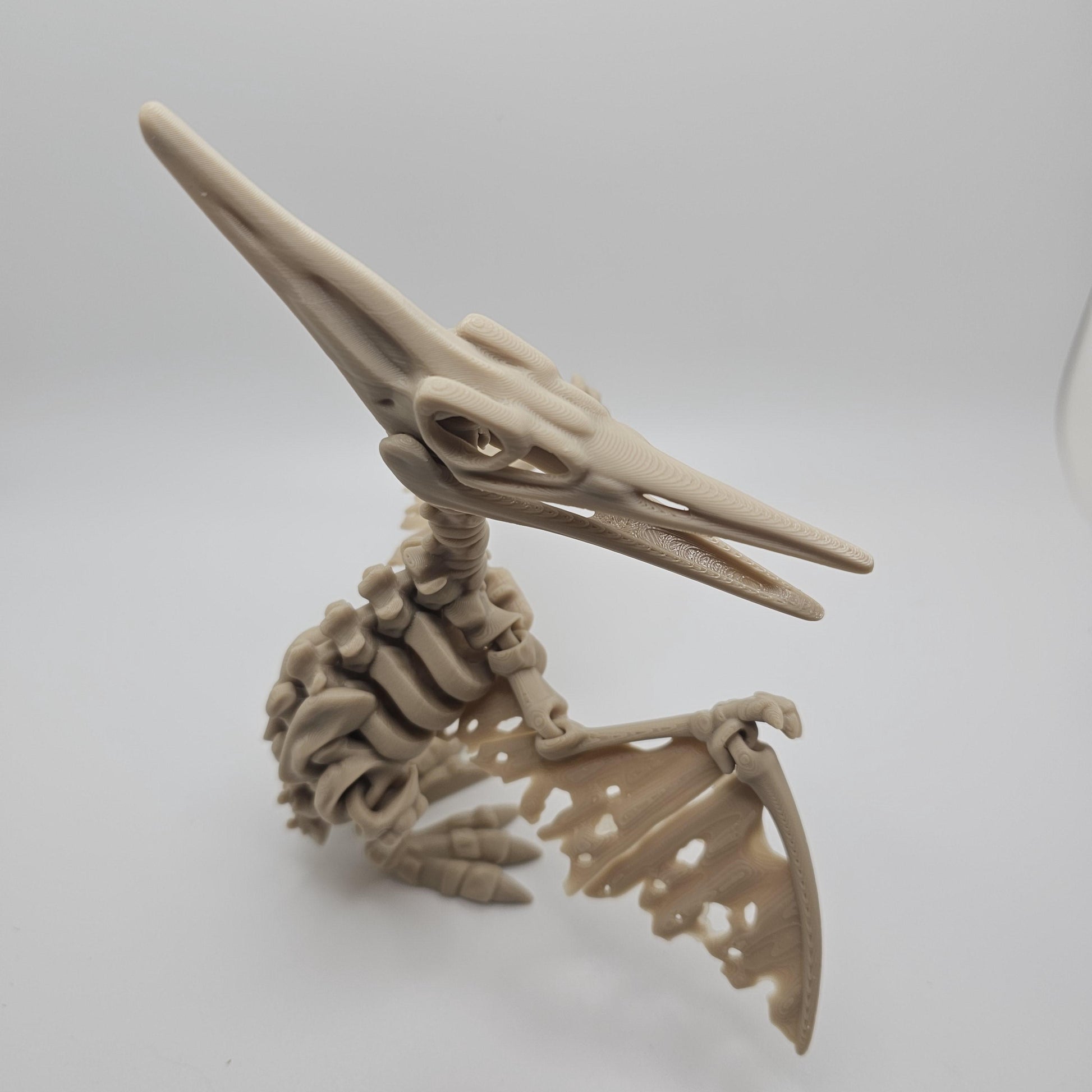 Skeleton Dinosaur, Fossil Dinosaurs 3DPrinted