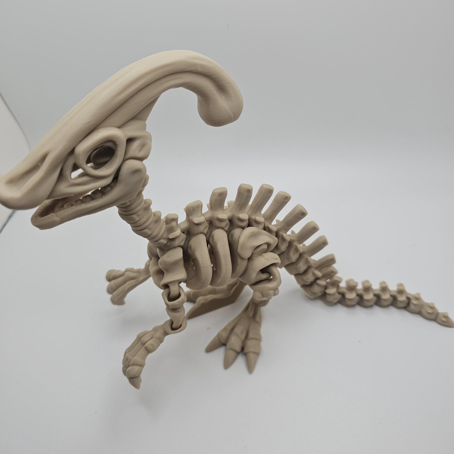 Skeleton Dinosaur, Fossil Dinosaurs 3DPrinted