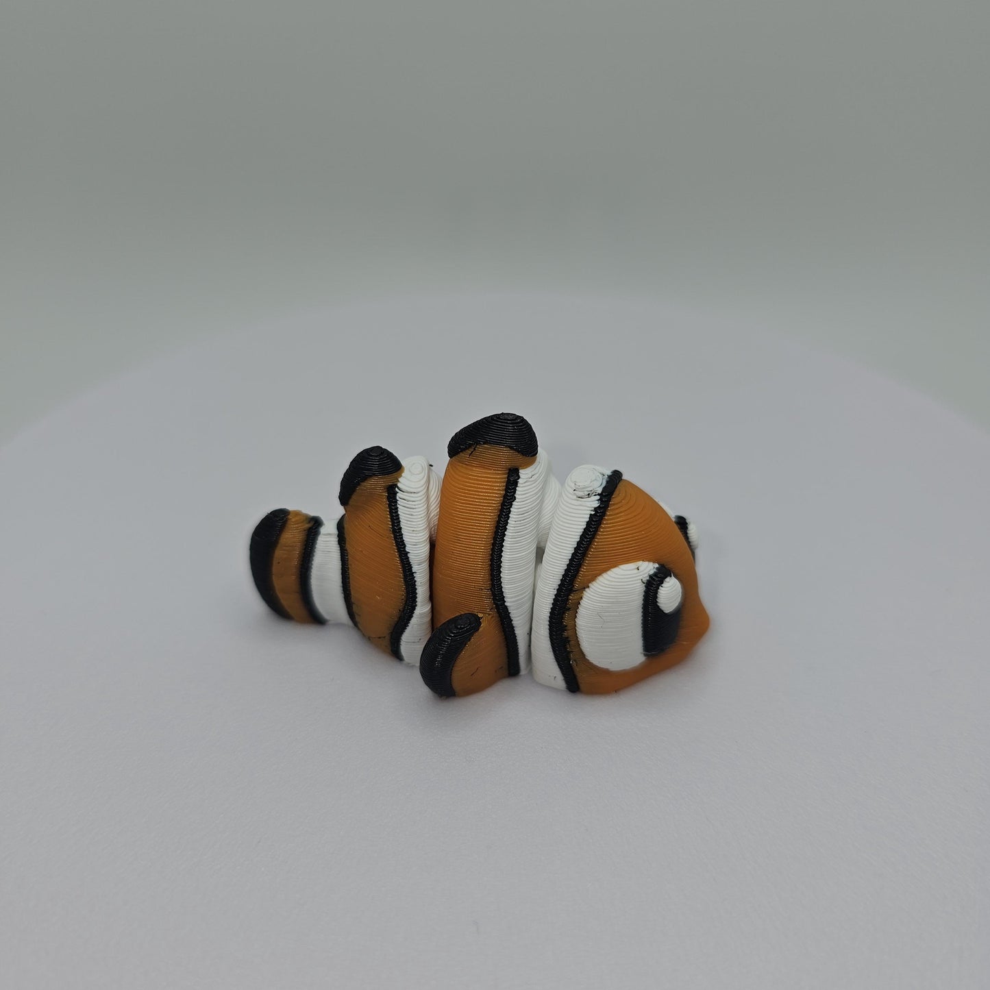 Tropical Fish Tank Display With 3 Fish
