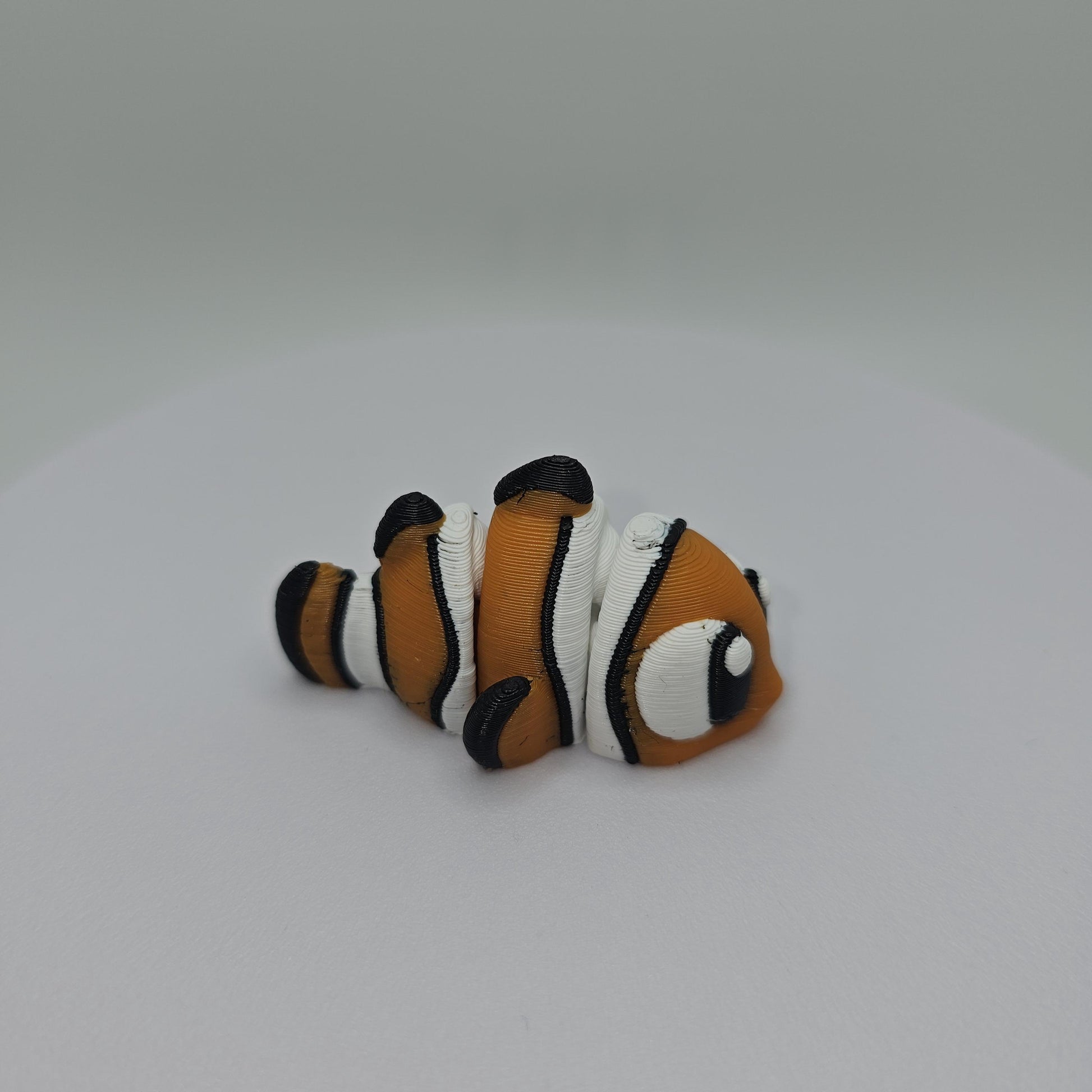 Tropical Fish Tank Display With 3 Fish