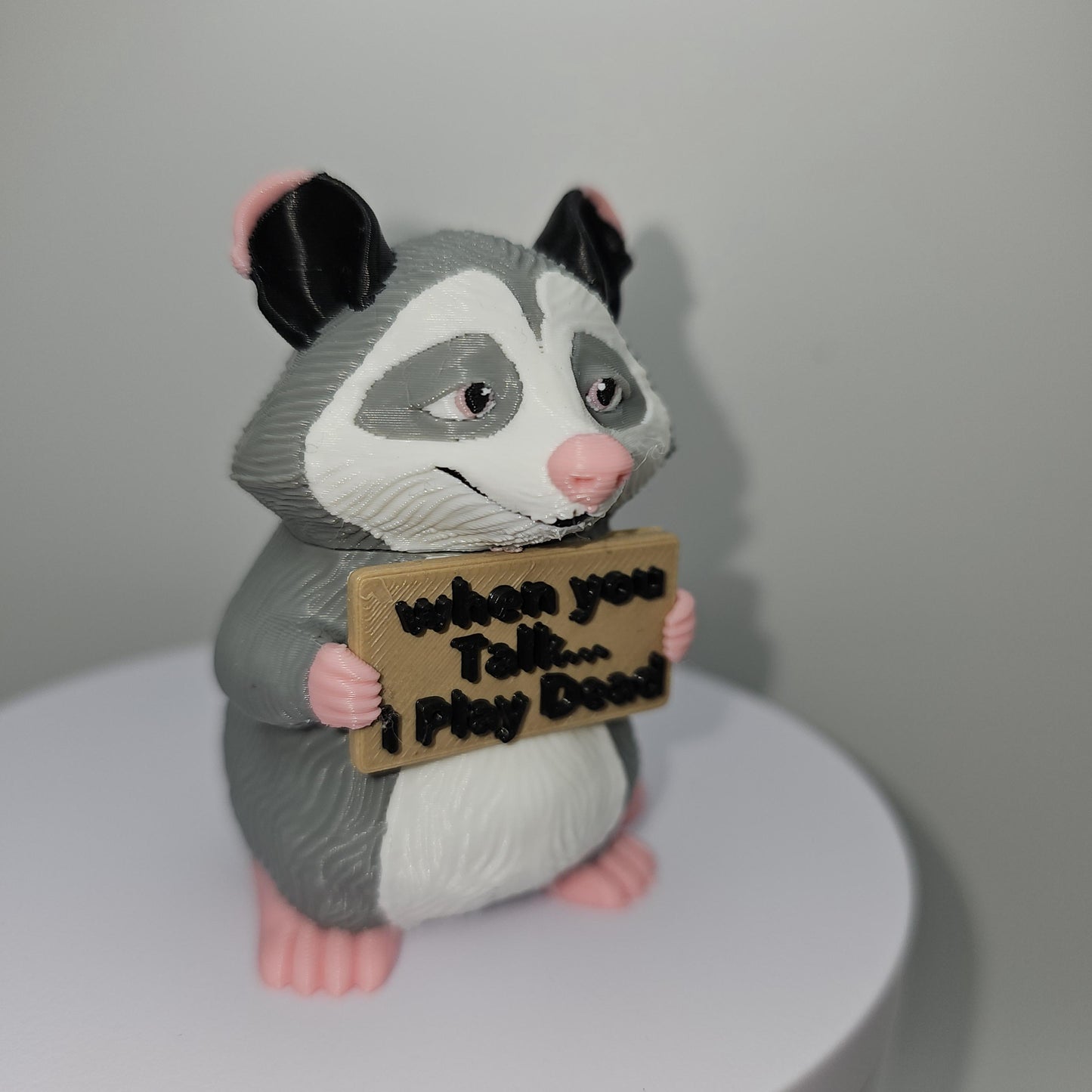 Opossum With Attitude