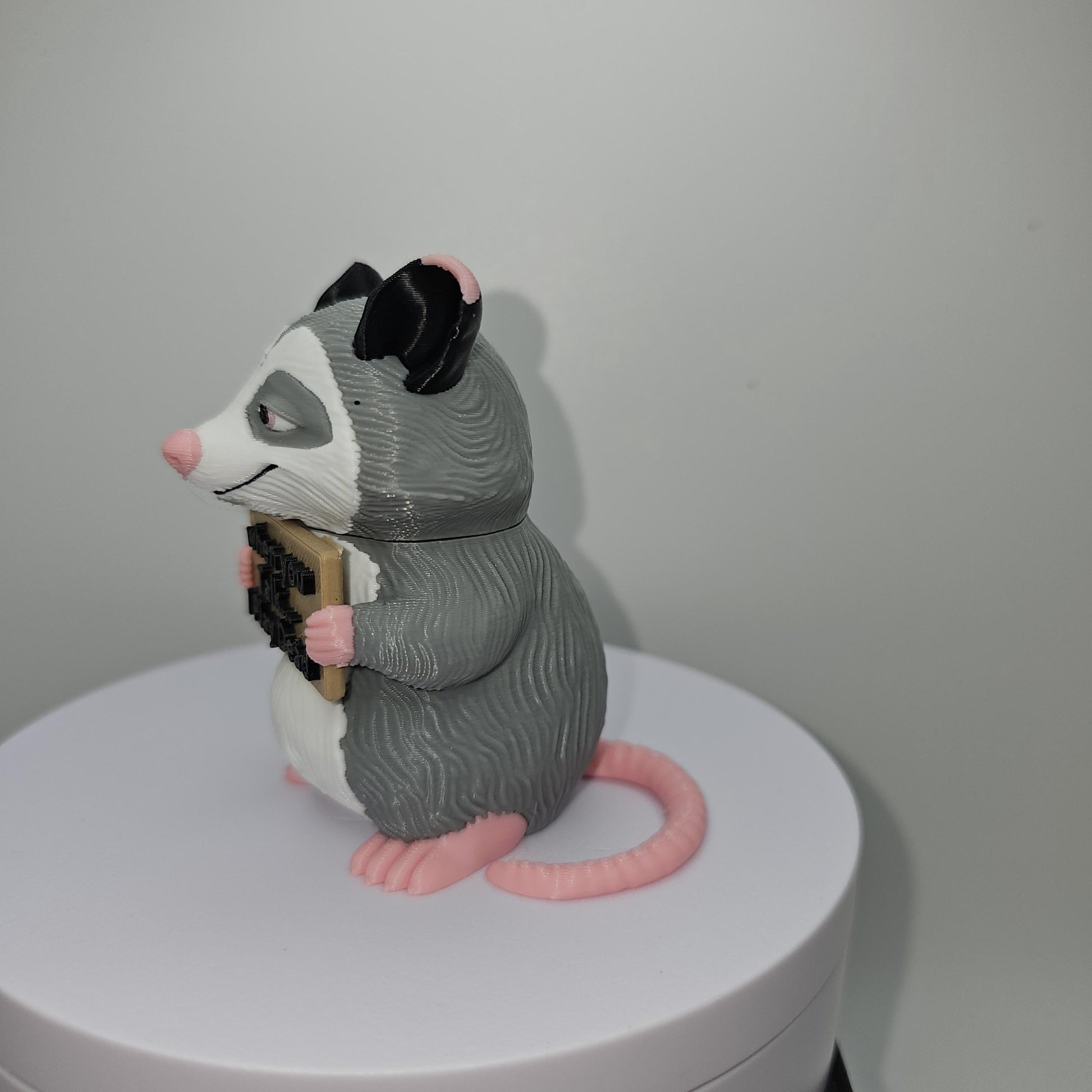 Opossum With Attitude