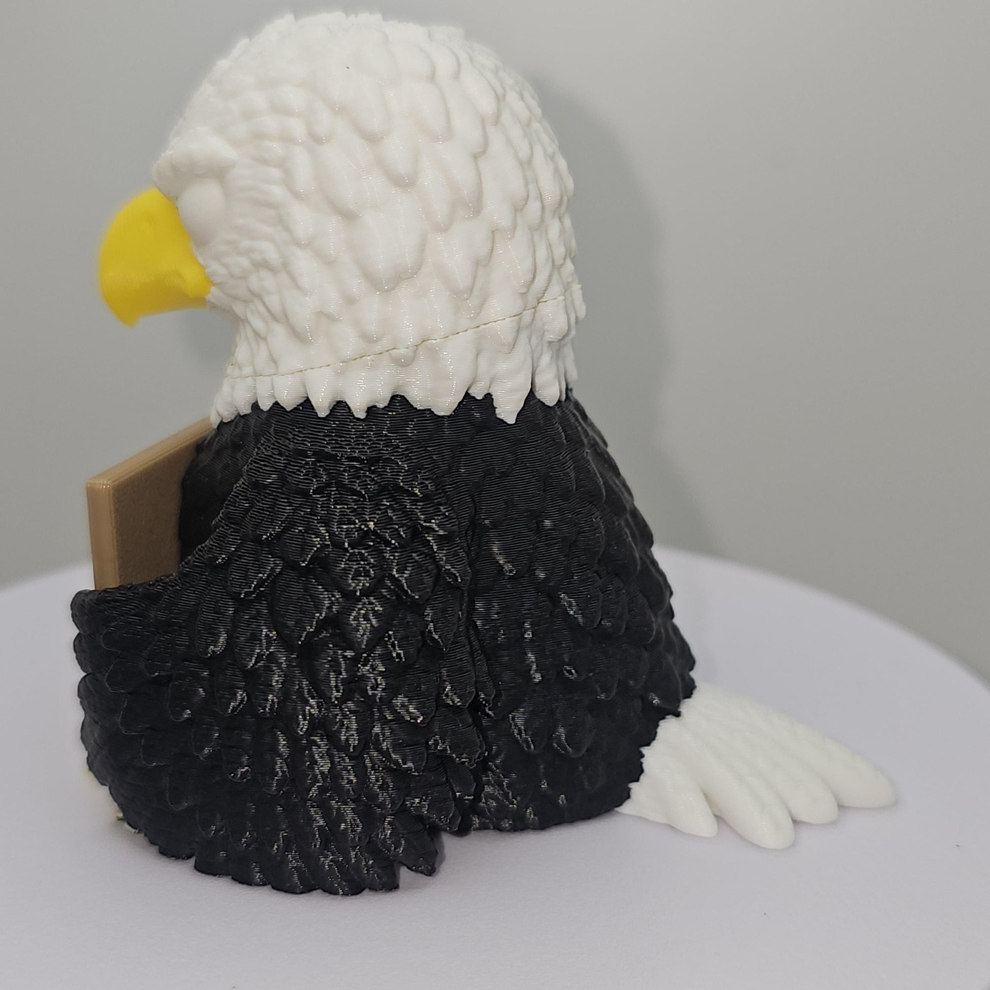 Eagle With Attitude