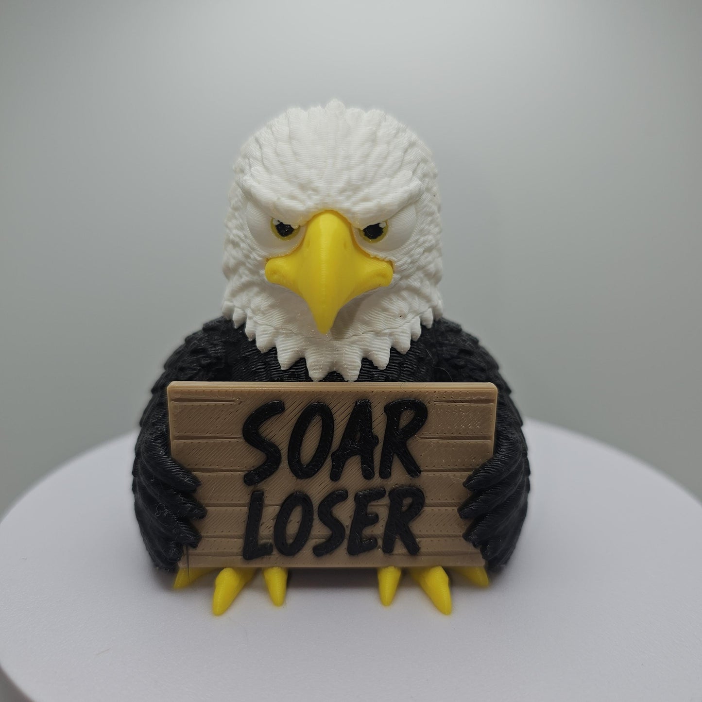 Eagle With Attitude