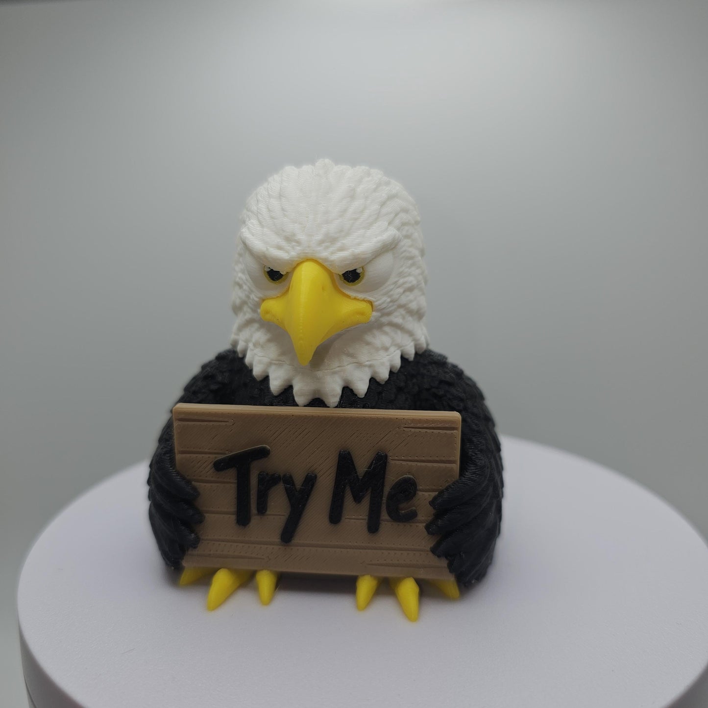 Eagle With Attitude