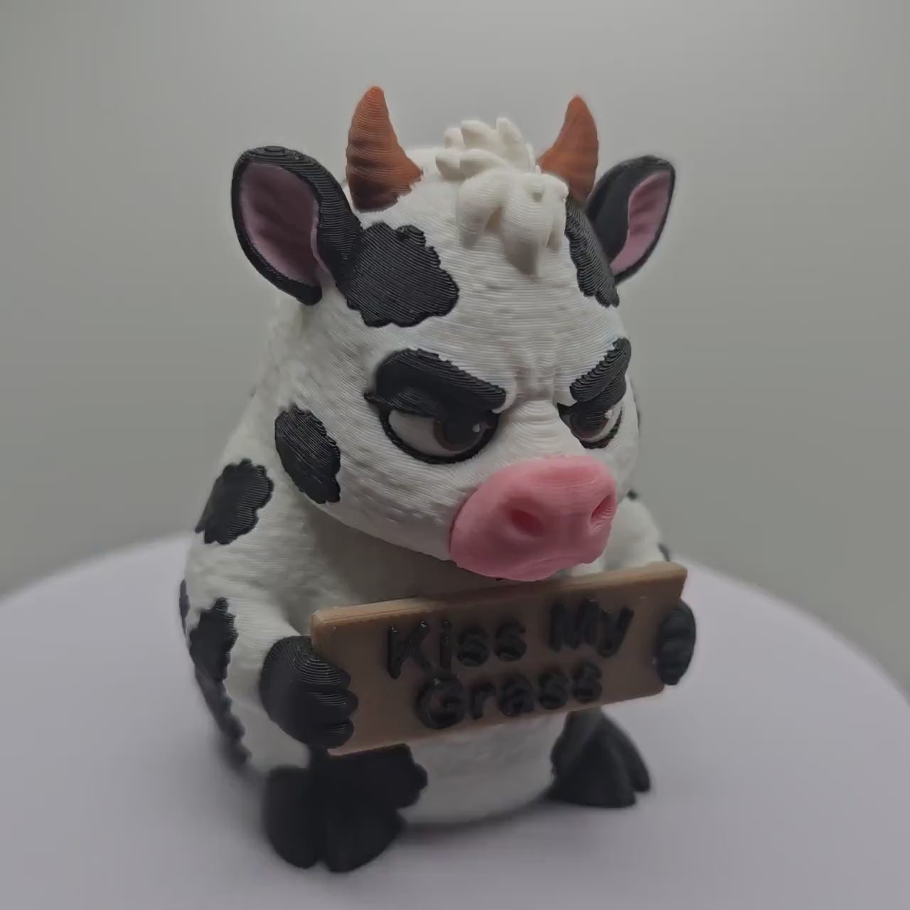 Cow With Attitude