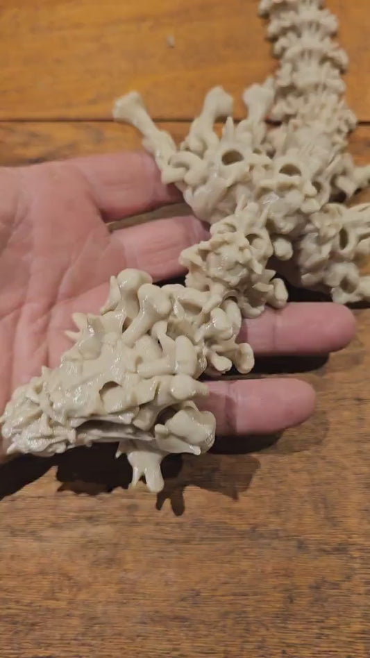 3d Printed Hollow Skull Bone Dragon