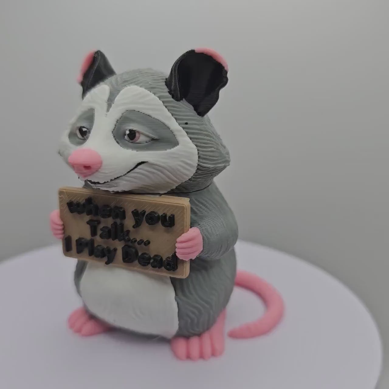Opossum With Attitude
