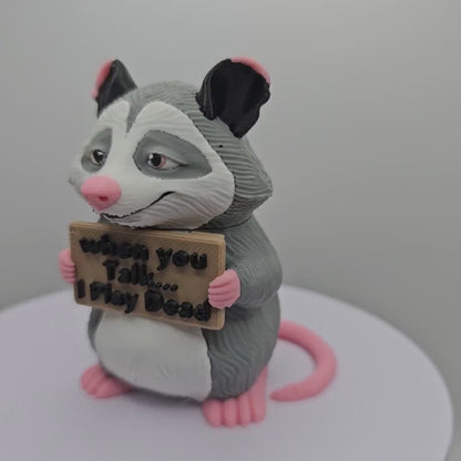 Opossum With Attitude