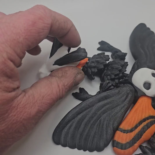 3D Printed Skull Moth Dragon